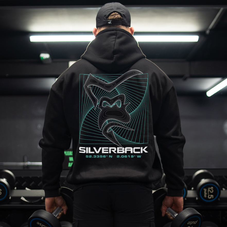 Sweat à capuche Portal Pull