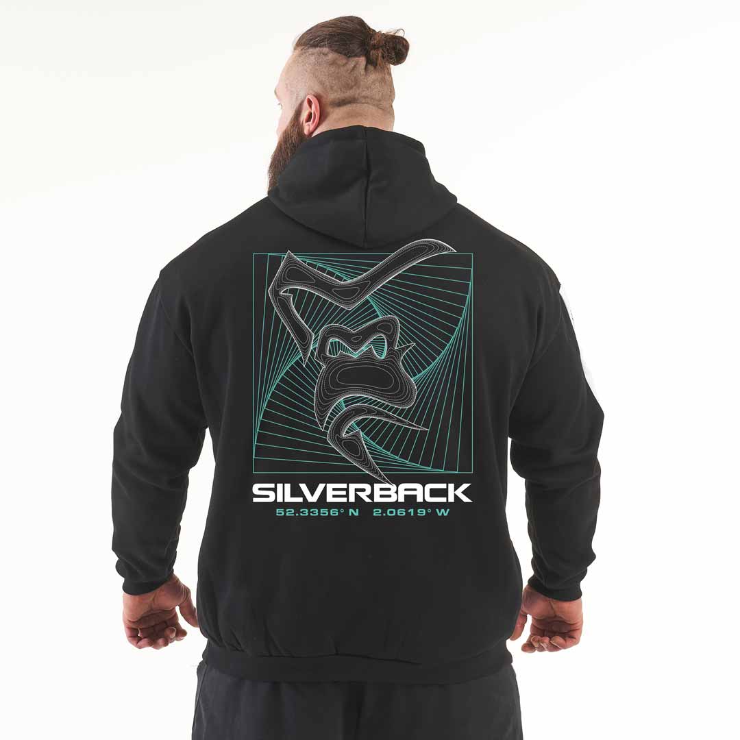 Sweat à capuche Portal Pull