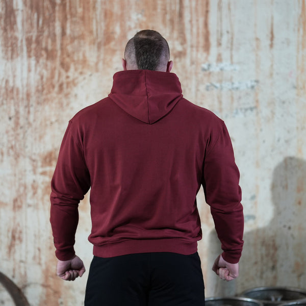 Alpha Pull Hoodie - 2.0