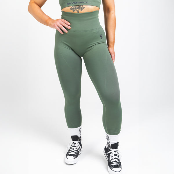 Sculpt Seamless Leggings