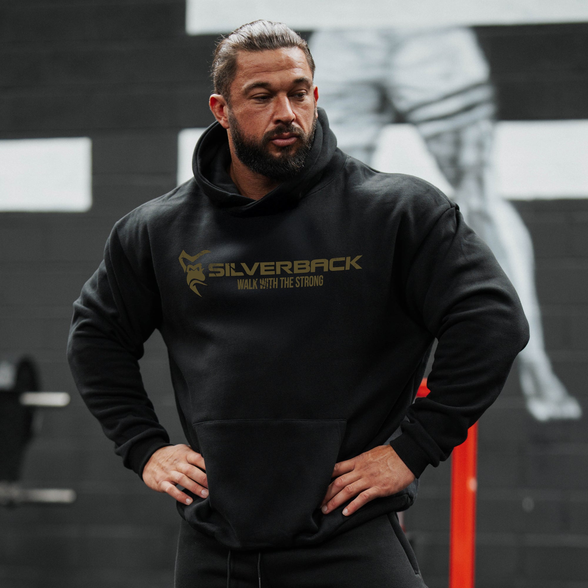 Hercules - Gods of Strength 2026 Pull Hoodie